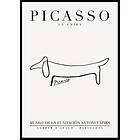 Gallerix Poster Picasso Le Chien 5537-21x30G