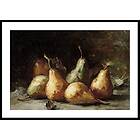 Gallerix Poster Pears By Hubert Bellis 70x100 5113-70x100