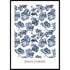 Gallerix Poster Phlox Flowers 30x40 4623-30x40
