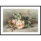 Gallerix Poster Rozen By Margaretha Roosenboom 50x70 5122-50x70