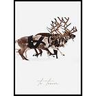 Gallerix Poster Santa Claus And Reindeer Part3 21x30 4891-21x30