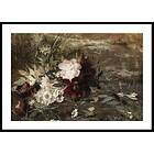 Gallerix Poster Seerosen Bloemen By Gerardina Jacoba Van De Sande Bakhuyzen 5228-50x70