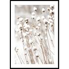 Gallerix Poster Snow Covered Dried Flowers 21x30 4847-21x30