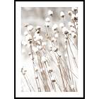 Gallerix Poster Snow Covered Dried Flowers 50x70 4847-50x70