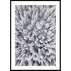 Gallerix Poster Snow Forest Aerial 50x70 4862-50x70