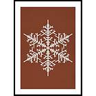 Gallerix Poster Snowflake WB 50x70 4904-50x70