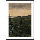 Gallerix Poster Spruce Saplings in Sandy Soil Study By Werner Holmberg 21x30 4956-21x30
