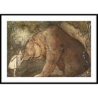 Gallerix Poster Stackars Lilla Basse av John Bauer 4823-21x30G