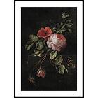 Gallerix Poster Stilleven Met Rozen By Elias Van Den Broeck 5104-21x30G