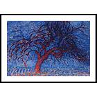 Gallerix Poster The Red Tree By Piet Mondrian 50x70 4790-50x70