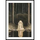 Gallerix Poster Tuvstarr By John Bauer 30x40 4762-30x40