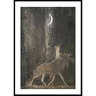 Gallerix Poster Tuvstarr och Skutt av John Bauer 70x100 4818-70x100