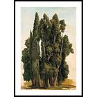 Gallerix Poster Villa d'Este By Gustaf Wilhelm Palm 4742-21x30G