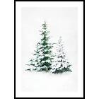 Gallerix Poster Watercolor Evergreen Trees 70x100 4898-70x100