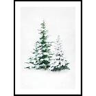 Gallerix Poster Watercolor Evergreen Trees 21x30 4898-21x30