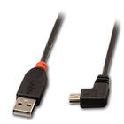 Lindy USB A - USB Mini-B 2.0 (kulma) 1m