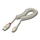 Lindy USB A - USB Mini-B (Spiral) 2.0 2m