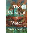 Abraham Verghese: The Covenant of Water