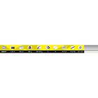 Tubertini R18 Titanium Surfcasting Rod Silver 4,25 m 100-225g