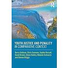 Barry Goldson, Chris Cunneen, Sophie Russell, David Brown, Eileen Baldry, Melanie Schwartz, Damon Briggs: Youth Justice and Penality in Comp