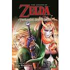 Akira Himekawa: The Legend of Zelda: Twilight Princess, Vol. 11