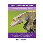 Lolly Brown: Crested Gecko as Pets