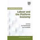 Jan Drahokoupil, Kurt Vandaele: A Modern Guide To Labour and the Platform Economy