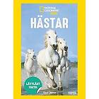 Kitson Jazynka: Hästar
