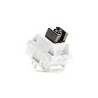 Studio Wuque WS Heavy Tactile Switch