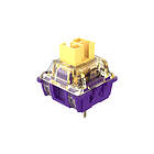 Dareu Violet Gold Pro Tactile Switch (45-pack)