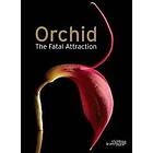 Anne Ronse: Orchid: the Fatal Attraction