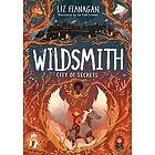 Liz Flanagan: City of Secrets