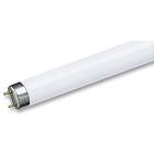 Crompton Triphosphor T8 3500K G13 30W