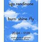 uGo Rondinone (Bilingual edition) burn shine fly Bok