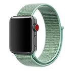 Apple Watch 38mm Nylon Armband Marine Green