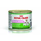 Royal Canin SHN Starter Mousse 0,195kg