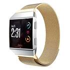 Milanese RSF stål Armband Fitbit Ionic Guld