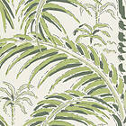 Morning Palm house green green, Långelid von Brömssen Vol 2 17-55