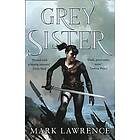 Grey Sister (Book of the Ancestor, Book 2) Engelska (EBok)