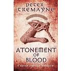 Atonement of Blood (Sister Fidelma Mysteries Book 24) Engelska (EBok)