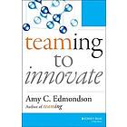 Teaming to Innovate Engelska (EBok)