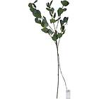 Star Trading Eucalyptus Decorative Twig