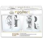 Harry Potter Glas 2-pack