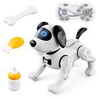 HOBBY Robot Dog med tillbehör Toys