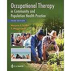 Marjorie E Scaffa, S Maggie Reitz: Occupational Therapy in Community and Population Health Practice