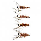 iFish Evil Eye (4-pack)