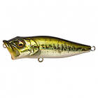 Megabass PopX Gin Tonic Tiger