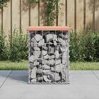 vidaXL Trädgårdsbänk gabion-design 33x31x42 cm massivt douglasträ 834327