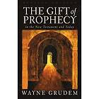 Wayne Grudem: Gift Of Prophecy In The New Testament And Today