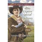 Pony Express Special Delivery Engelska EBook